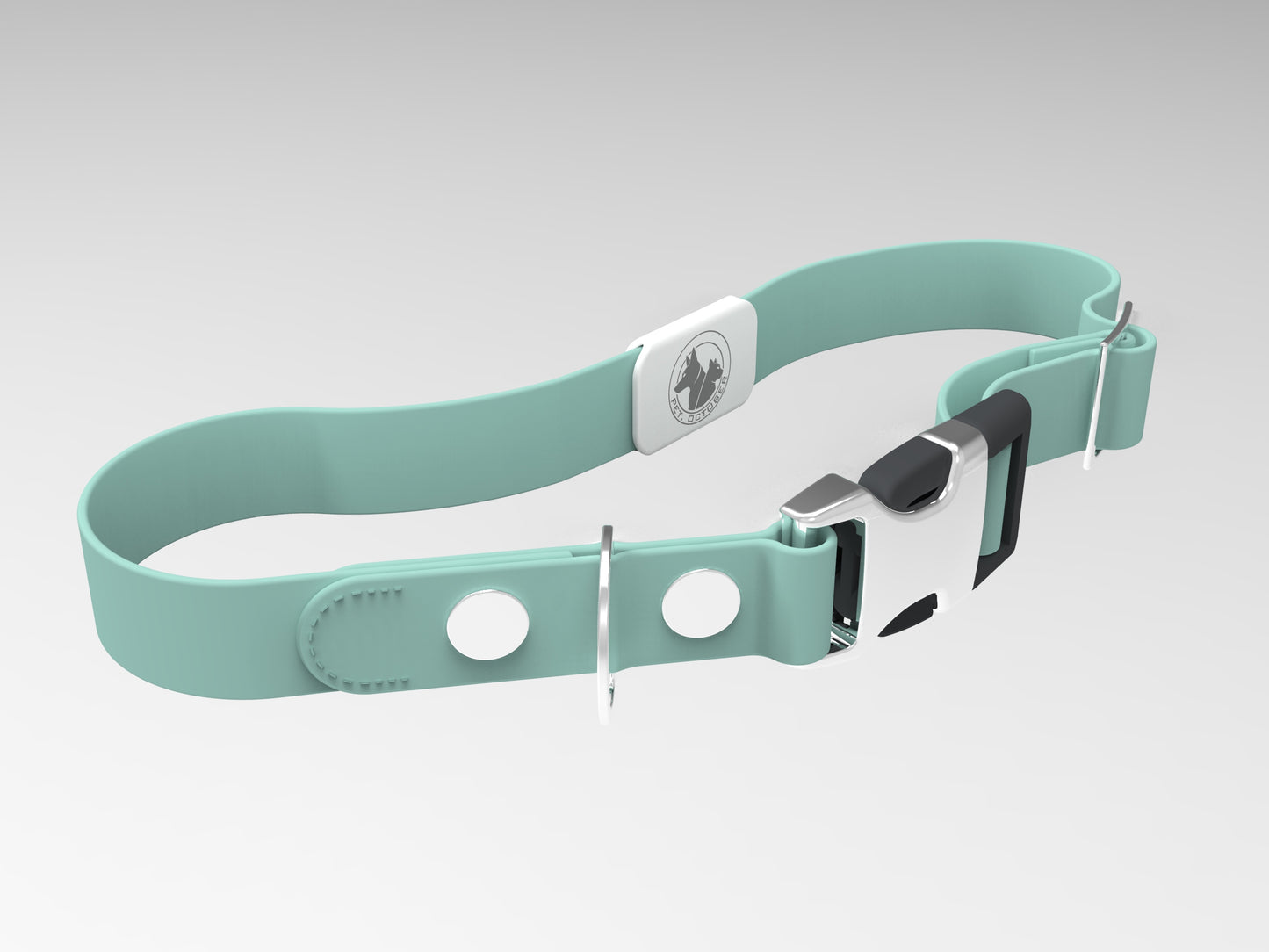 Quick Release Metal Buckle Collar
