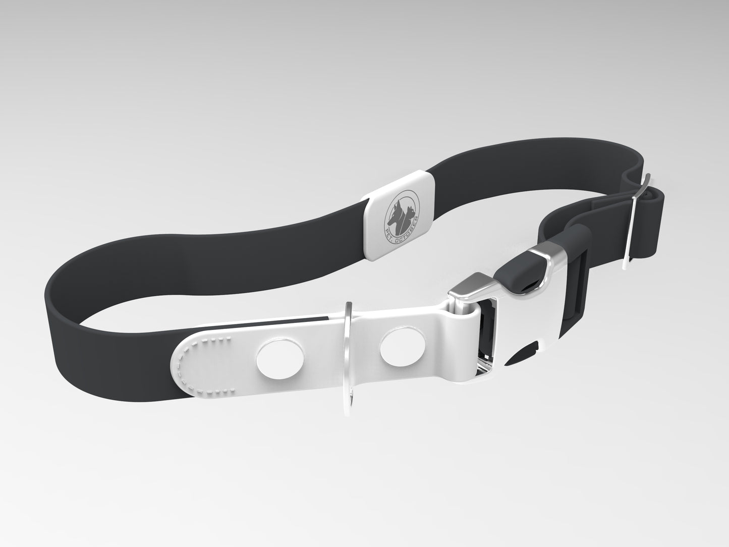 Quick Release Metal Buckle Collar