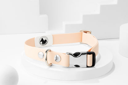 Quick Release Metal Buckle Collar