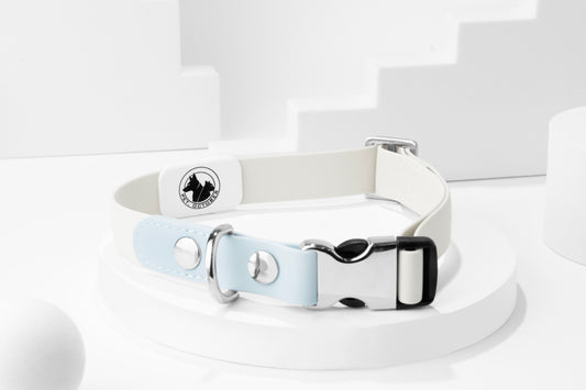 Quick release Metal Buckle Collar ( Mixed Color )