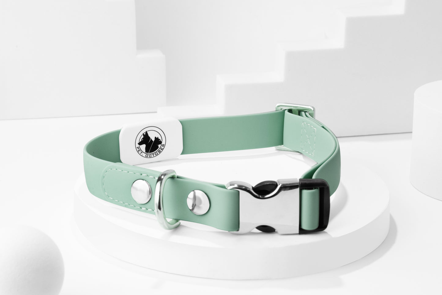 Quick Release Metal Buckle Collar